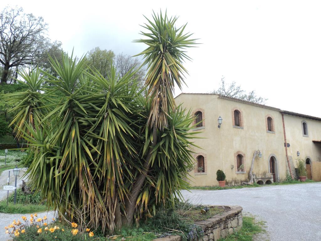 Agriturismo Il Daino Villa San Piero Patti Exteriör bild